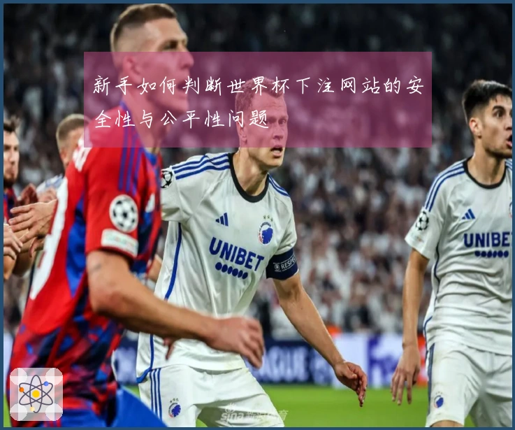 新手如何判断世界杯下注网站的安全性与公平性问题