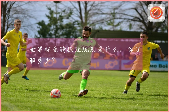 世界杯竞猜投注规则是什么，你了解多少？