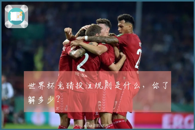 世界杯竞猜投注规则是什么，你了解多少？