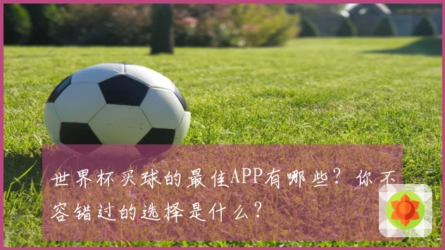 世界杯买球的最佳APP有哪些？你不容错过的选择是什么？