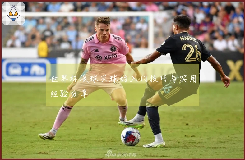 世界杯滚球买球的入门技巧与实用经验分享